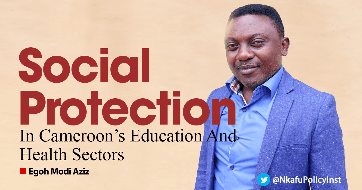 Social Protection in Cameroon's Education and Health Sectors
