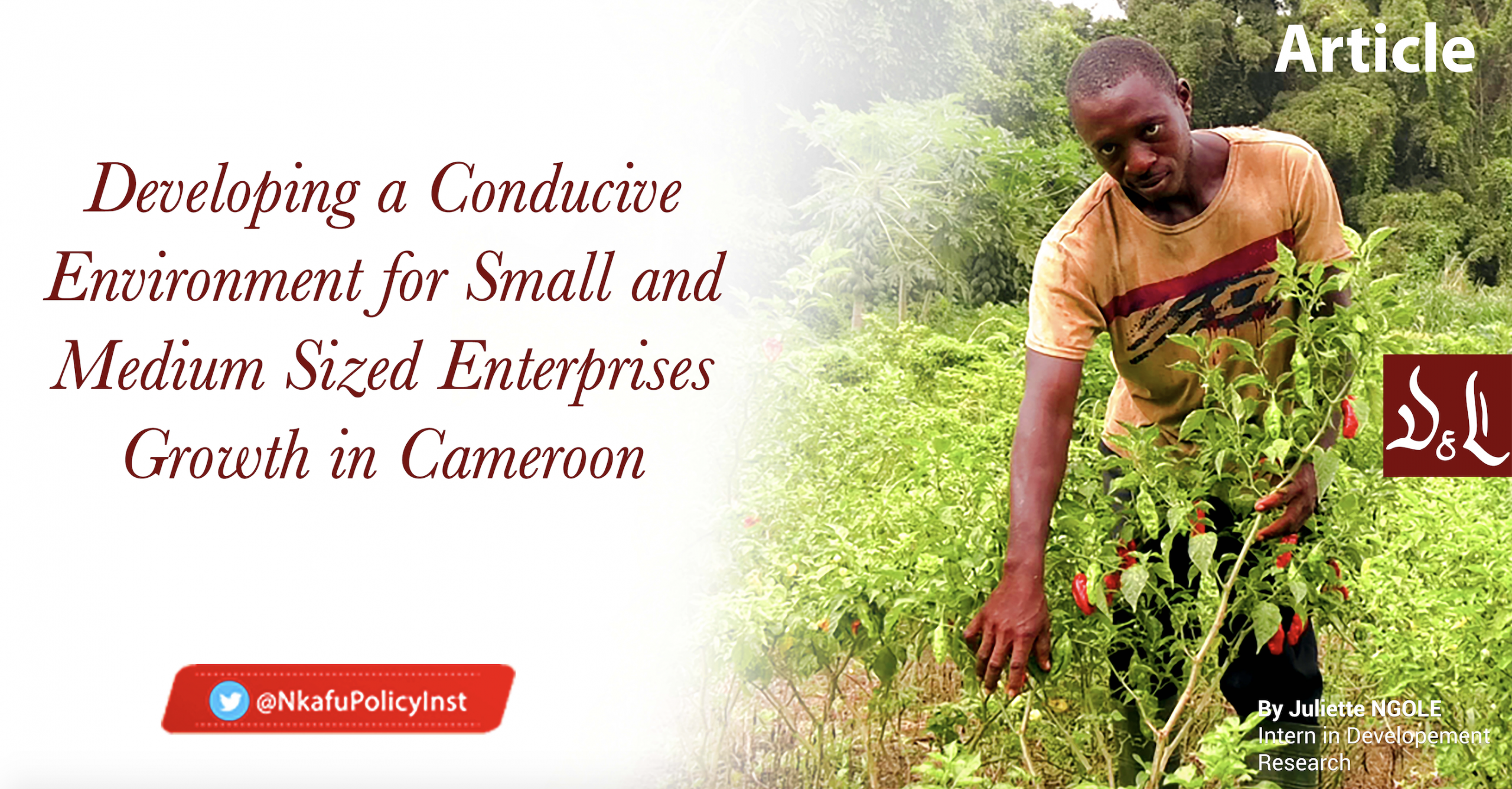 Developing a Conducive Environment for Small and Medium Sized Enterprise Growth in Cameroon