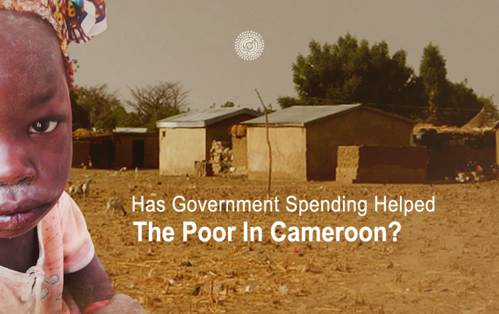 Nasumba_Is-Governement-Spending-Pro-Poor-website