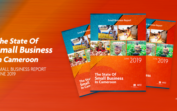 State of Small Businesses in Cameroon Report 2019