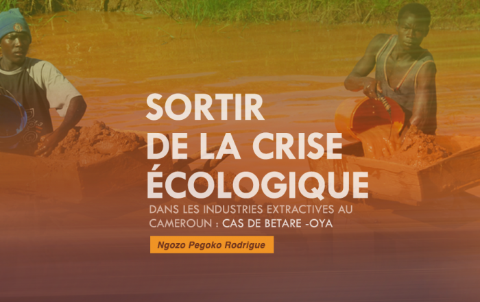 Sortir De La Crise Écologique Dans Les Industries Extractives Au Cameroun : Cas De Betare -Oya
