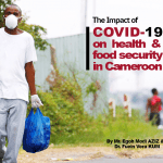 The impact of COVID 19 on health and food security in Cameroon