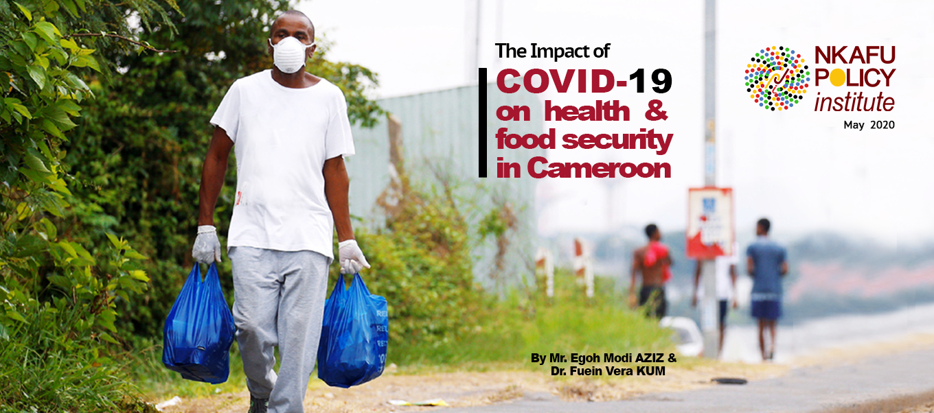 The impact of COVID 19 on health and food security in Cameroon