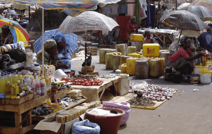 Formalization of the Informal Economy in Cameroon