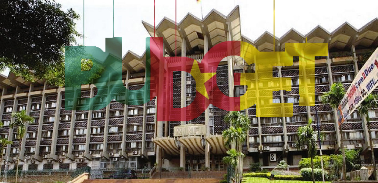 report-on-the-2021-budget-of-the-state-of-cameroon-an-analysis-of-the-sustainability-of-the-public-debt