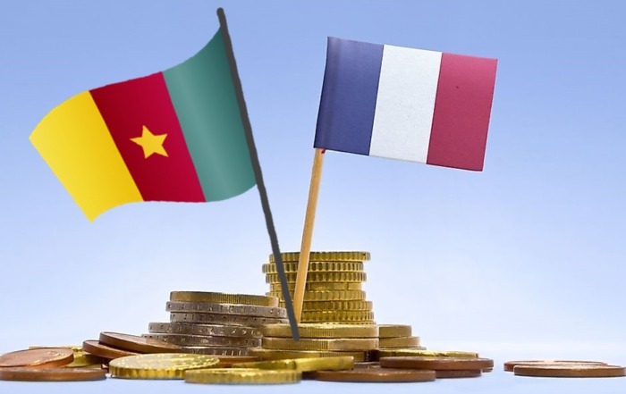Evolution of Economic and Trade Relations Between Cameroon and France