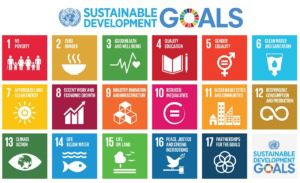 The Millennium Development Goals (Mdgs) And The Sustainable Development Goals (Sdgs) In Cameroon