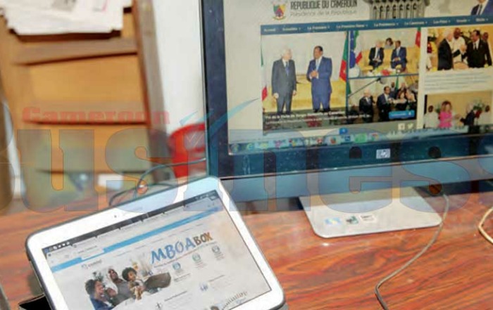 Digitalization and Performance of Public Administrations in Cameroon
