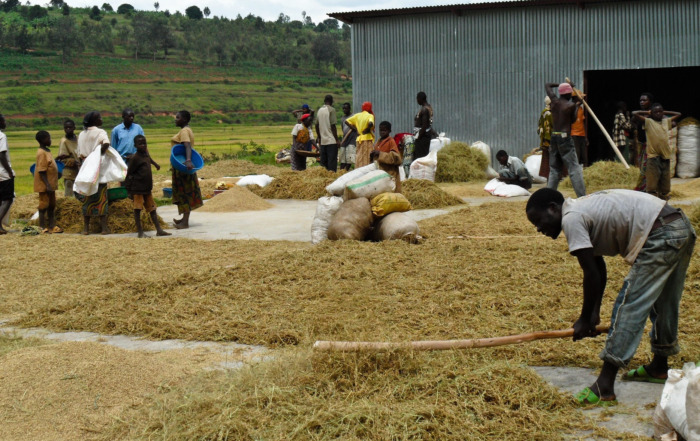 Food Security in CEMAC Countries