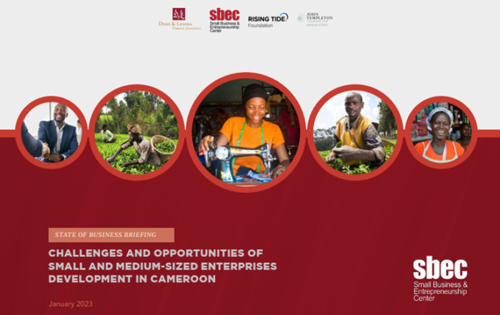 Challenges and Opportunities of Small and Medium Sized Enterprises Development in Cameroon