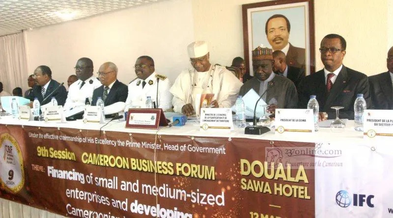 Focus on Public-Private Partnerships in Cameroon