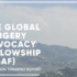 Global Surgery Advocacy Fellow report