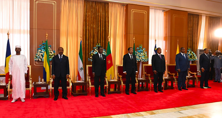 The Relevance of an Optimal Policy Mix in the CEMAC zone