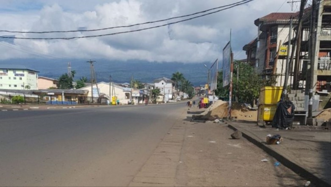 Analysing the Socioeconomic Consequences of the Anglophone Conflict in Cameroon
